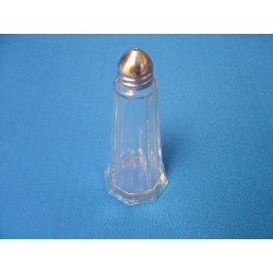 Glass Salt Shaker