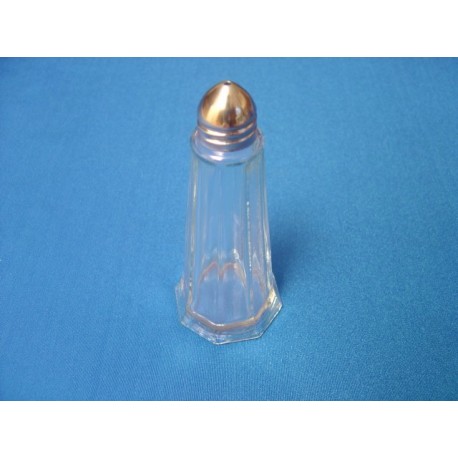 Glass Salt Shaker