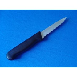 4 inch Serrated Knife