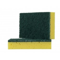 Large Sponge and scourer